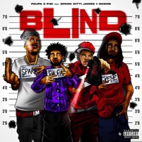 Blind (feat. Spank Nitti James & Skeme) - Single - Paupa & P4K