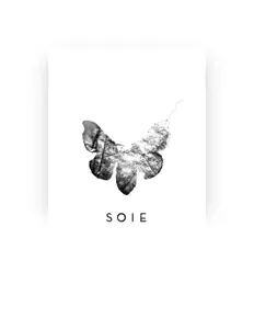 Listen to SOIE, watch music videos, read bio, see tour dates & more!