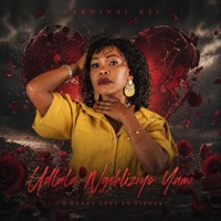 Udlala Ngehliziyo Yami - Single - Cardinal X25
