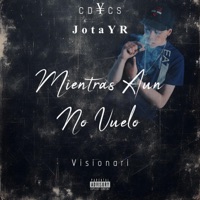 Mientras Aun No Vuelo - Single - JotaYR