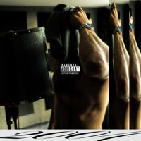 2004 - Šimpanz & LueCash