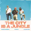 THE CITY IS A JUNGLE