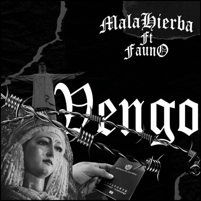 Vengo (feat. Fauno) - Single