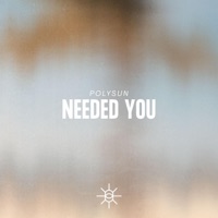 Needed You - Single - Polysun
