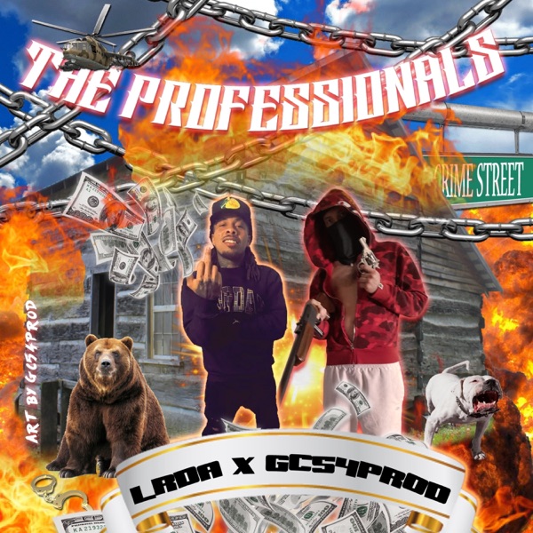 The Professionals
