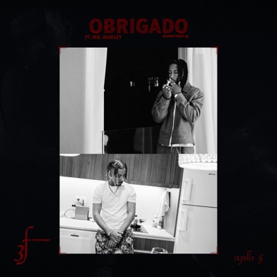 Obrigado (feat. Mr. Marley) - Single