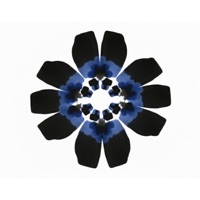 Last Night (feat. Beraud) - Single - Rebel Symphony Orchestra