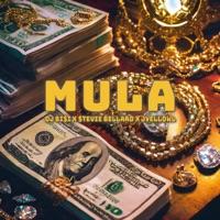 MULA - Single - Dj Bisi, Stevie Bellard & JyellowL