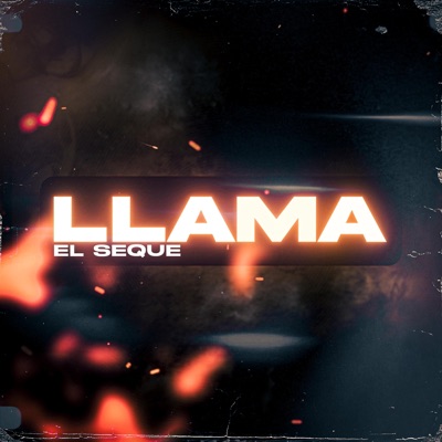 LLAMA - Single
