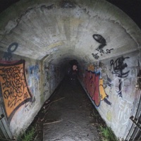 tormented, pt. 2 - Single - Salvatixn