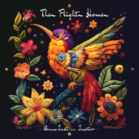The Flight Home - Single - Bruno Justi & Jupiter