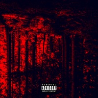 Сквозь эти леса - Single - STNX & Трувонт