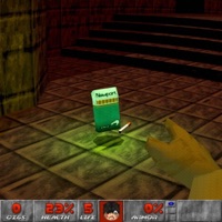 ImNottaFien(ImLying) - Single - Wildmvtt