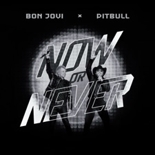 Now Or Never by 