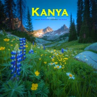 Kanya - Single - Amits & Amit Kumar