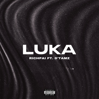 LUKA (feat. D'Tamz) - Single