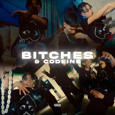 Bitches & Codeine (feat. Drako Baby) - Single