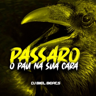 Passaro o Pau na Sua Cara - Single