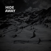 Hide Away - Single - Roman S., Black Money & Montana