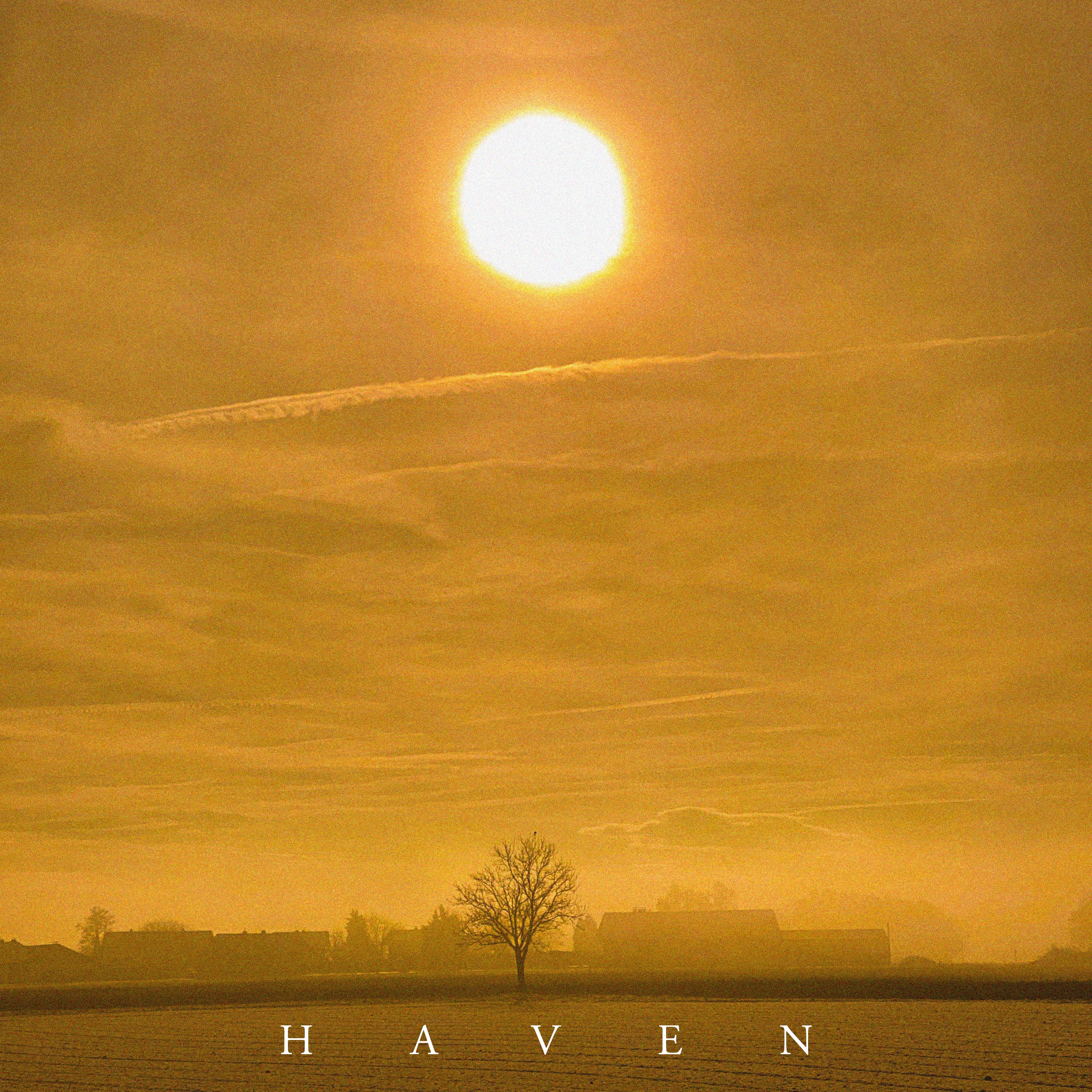 Haven - Single