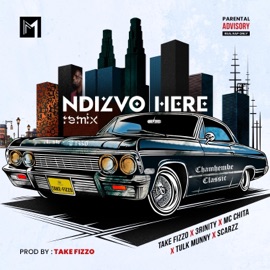Ndizvo here (feat. Take Fizzo, 3rinity, Mc Chita, Tulk Munny & Scarzz) [Remix] Chamhembe