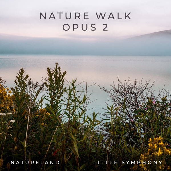 Nature Walk, Opus 2 - EP