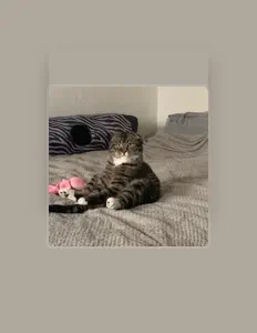 Listen to Рони Вайт, watch music videos, read bio, see tour dates & more!