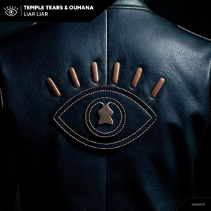 Liar Liar - Single