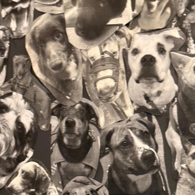 Wemissthe2010emomusic - Single