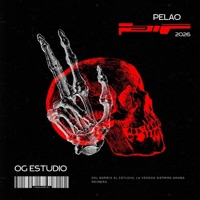 Pelao (feat. CK La Elite, Angelotti & Aries Cooper) - Single - OG STUDIO