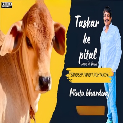 Taskar Ke Pital - Single