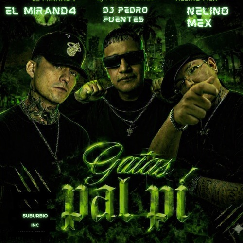 Gatas Pal Pí