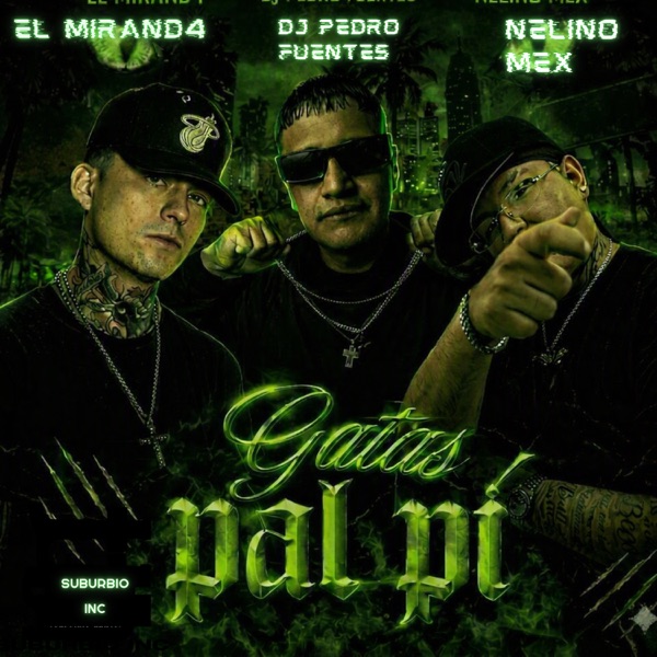 Gatas Pal Pí