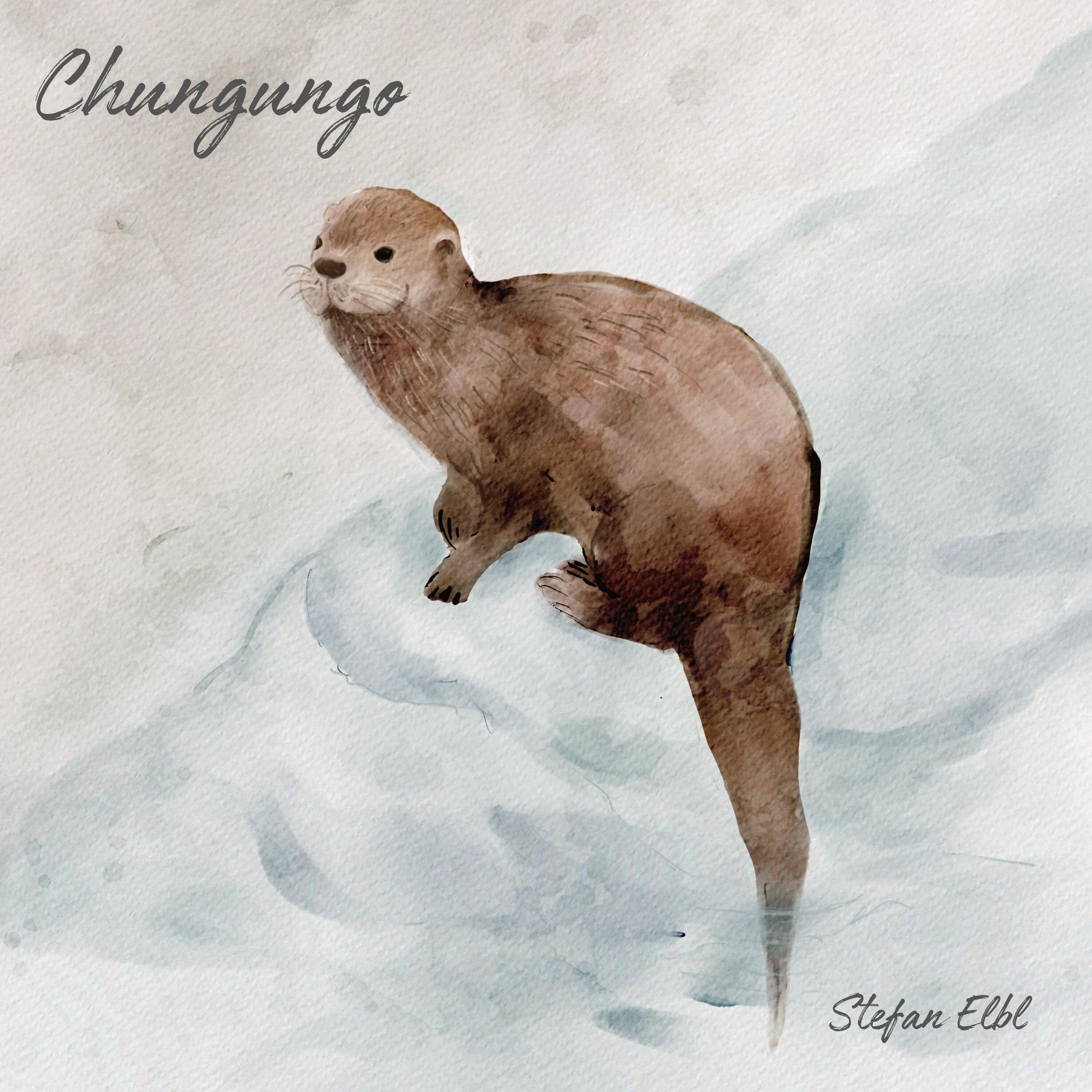 Chungungo