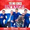 Tu No Eres un Angel