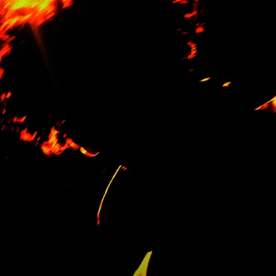 Judge Holden - Single