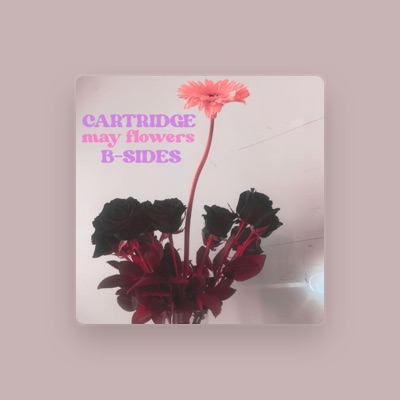 Cartridge B-Sides