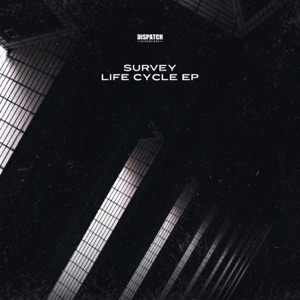 Life Cycle - EP