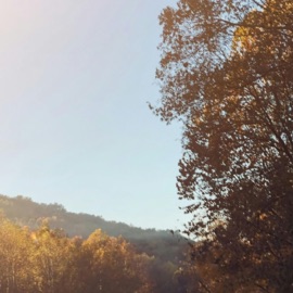 Best For You Zachary Heider