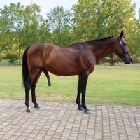 Vamos pa la expo - Single - Zeptone