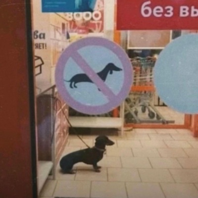 count guap (feat. Ochoo) - Single