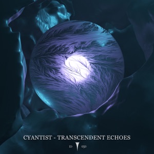 Transcendent Echoes - Single