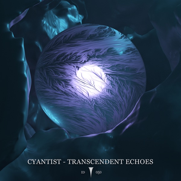 Transcendent Echoes - Single