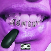 Moment (Alternate Versions) [feat. TrippyKO] - Single - drizzy vik
