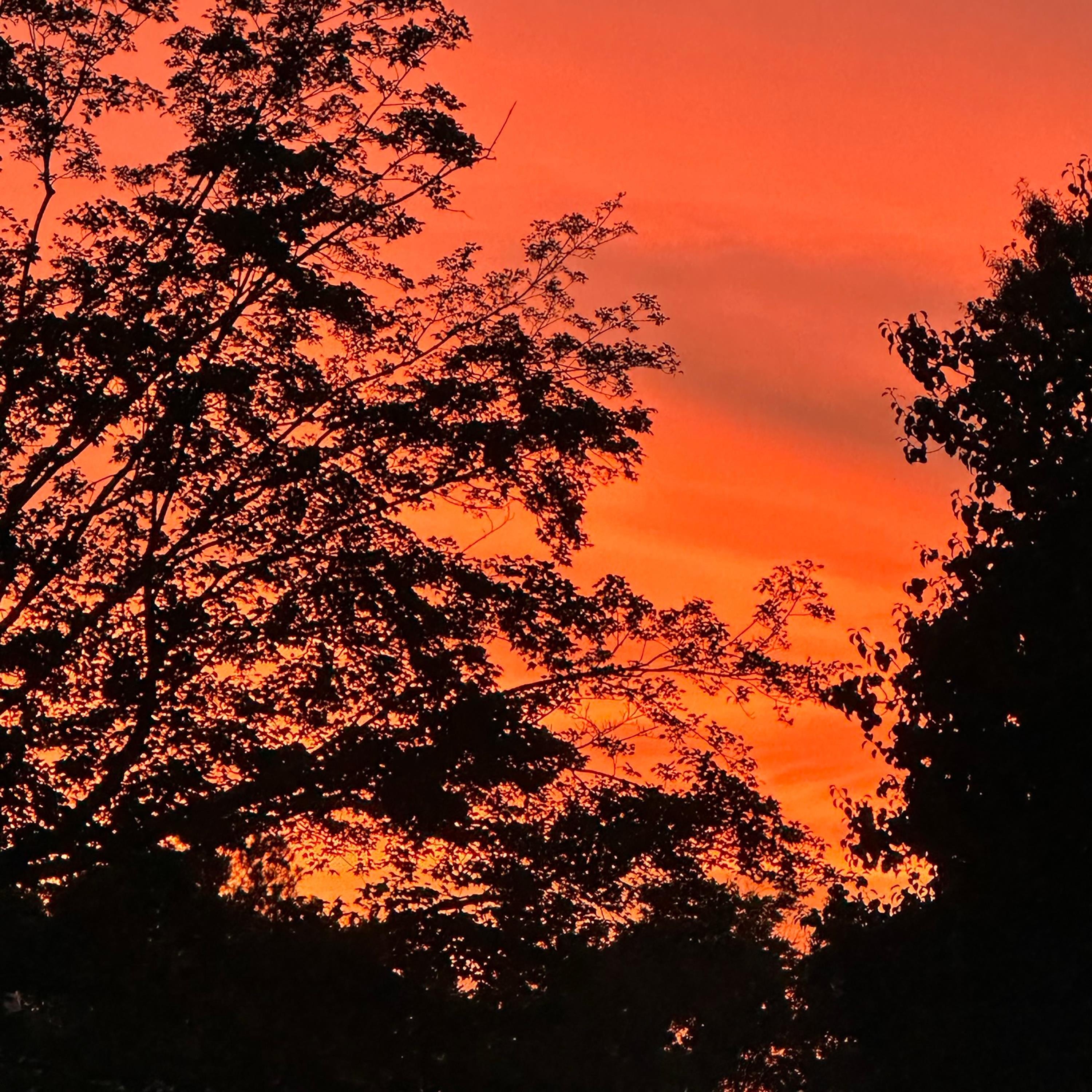 Water Rockets - Single