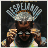 Despejando (Tech House Remix)
