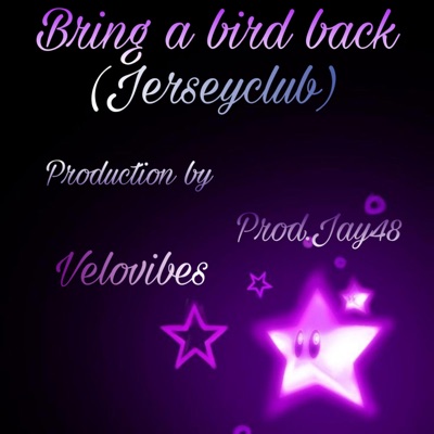 Bring A Bird Back (feat. Velovibes) - Single