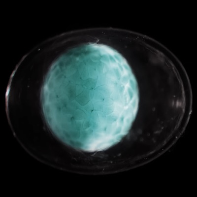 Abiogenesis - Single