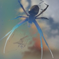 CATARACT - Single - slowsigh