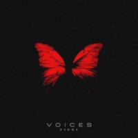 Voices (feat. discent) - Single - R3DQX